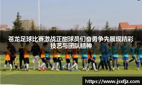 苍龙足球比赛激战正酣球员们奋勇争先展现精彩技艺与团队精神